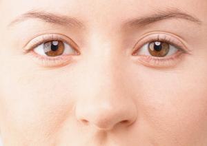 大阪で効果的なクマ取り対策法を徹底解説！最新2025年ガイド